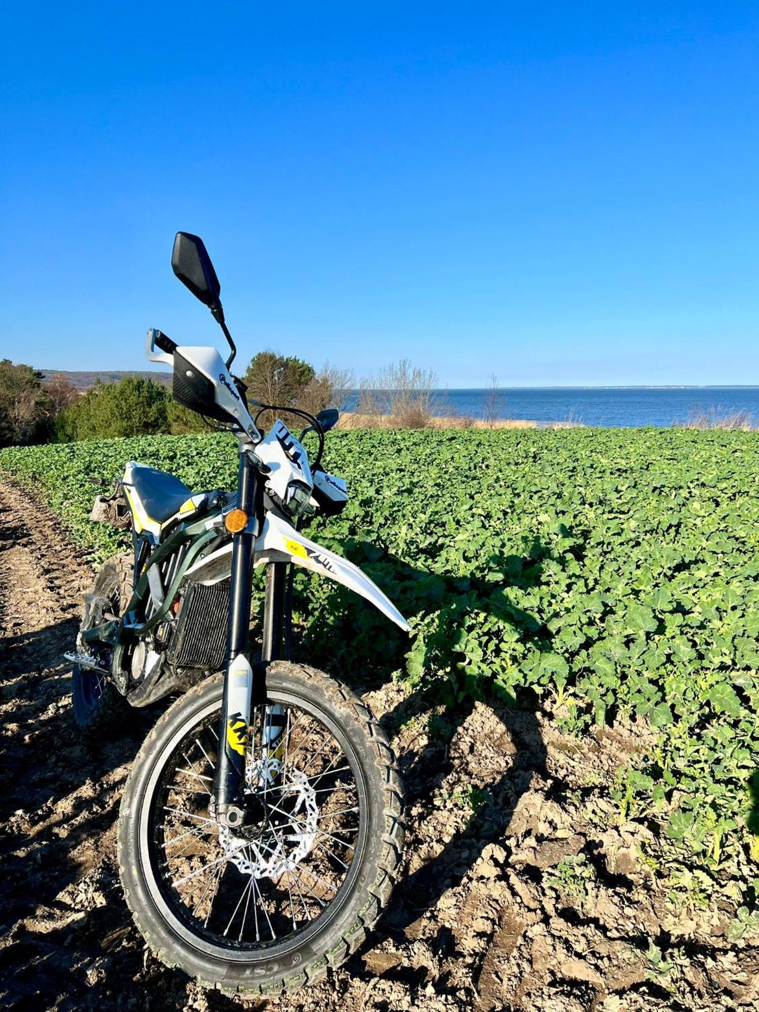 Narusa Lesna Przystan Frombork Buitenkant foto